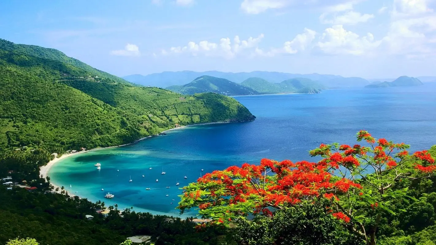 高效稳定性独特